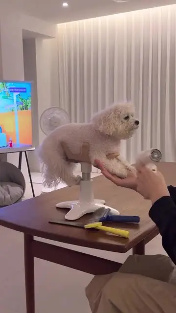 오포꼼댁 손희진 대표 릴스 1