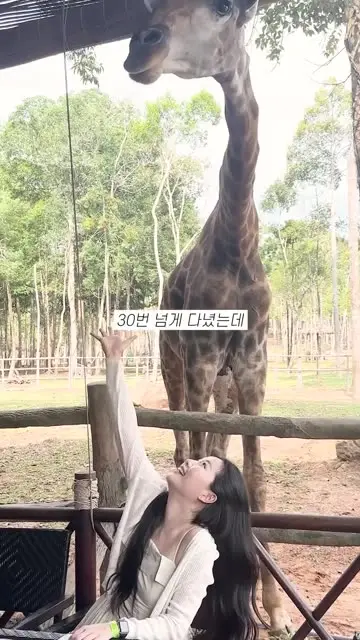 정히또 대표 릴스 1