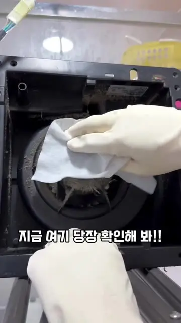 마마존스 대표 릴스 2