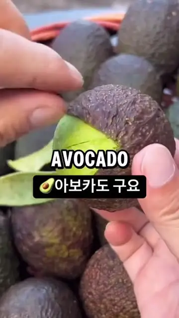 프리원핏역곡점 대표 릴스 2