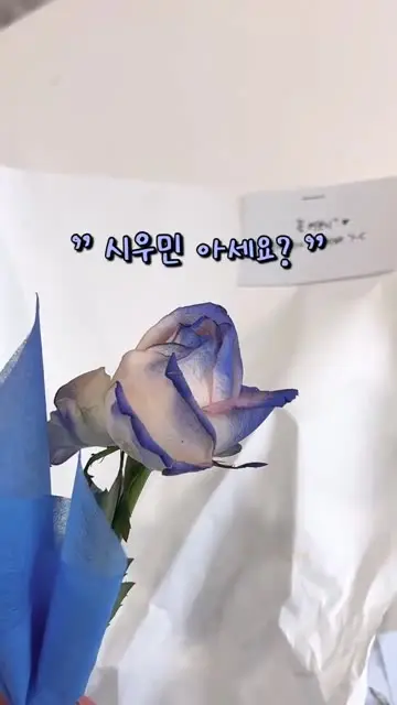 온아틀리에 서울캔들공방ㅣ부케말리기ㅣ공방창업 대표 릴스 3
