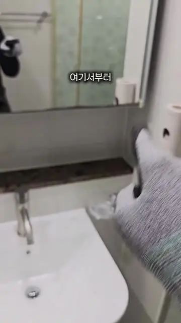 수리곰 대표 릴스 2