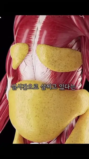 약사부부 대표 릴스 1