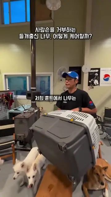 hund.home 대표 릴스 2