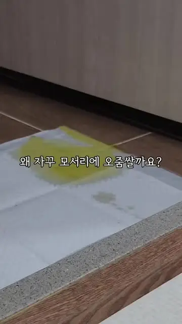 펫약사 대표 릴스 2